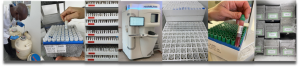 Biodiversity Biobanks