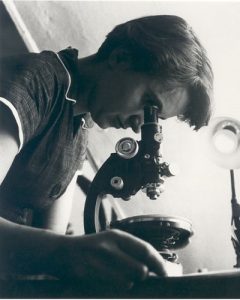 Rosalind Franklin's groundbreaking work on the structure of DNA kicked off the molecular revolution