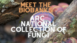 BBSA Meet The Biobanks ARC National Collection of Fungi