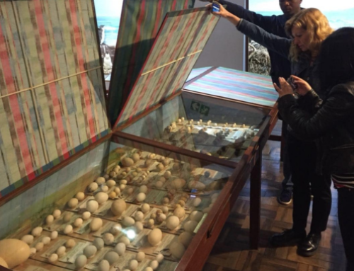 Biobanking News: New Curatorial Appointments at the Durban Natural Science Museum