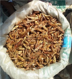 A bag of locusts for sale at a food market in Nigeria
