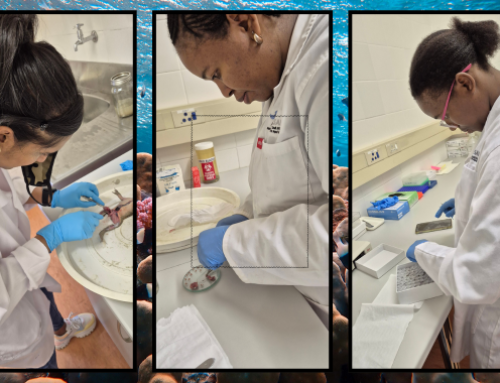 Biobanking News: SAIAB’s DIPLOMICS Partnership Expands Biobanking Potential