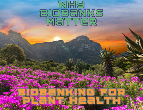 Why Biobanks Matter | Protecting Plants, Promoting A Better Life