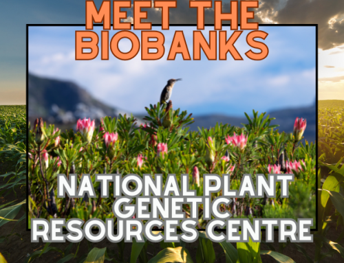 The National Plant Genetic Resources Centre: Supporting Small Farmers & South Africa’s Food Security 