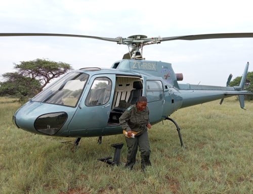Meet The Member: Mosa Kekana – A Walk On The Wild Side