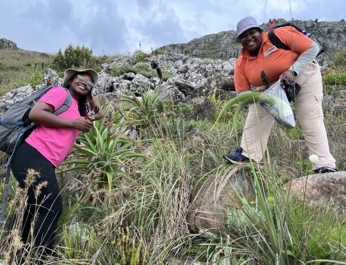 Meet the Member: Sibahle Gumede – Planting Seeds Of Knowledge