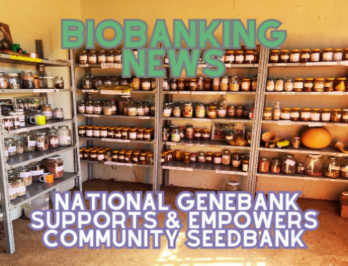 Biobanking News | Department Of Agriculture National Genebank Empowers Gumbu Community Seedbank