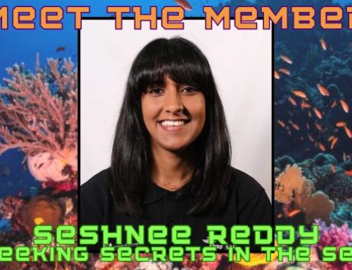 Meet The Member: Seshnee Reddy – Uncovering The Seas’s Hidden Secrets