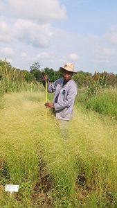 Patrick Rakau is an accomplished agricultural researcher, a specialist in forage and range science, and an expert in what it takes to keep farm animals well-fed.