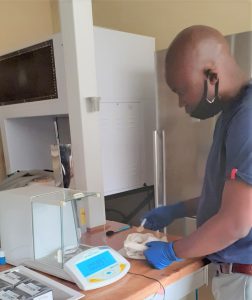 Patrick Rakau’s research advances sustainable livestock production through the development of climate-resilient and nutrient-rich forage crops. 
