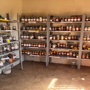 The National Gene Bank has partnered with Bioversity International in a project aimed at establishing and supporting community seed banks in South Africa.