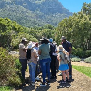 Dedicated teams of SANBI Wild Plant Seed Bank seed collectors travel to remote regions of South Africa to collect seeds from species at risk of extinction.